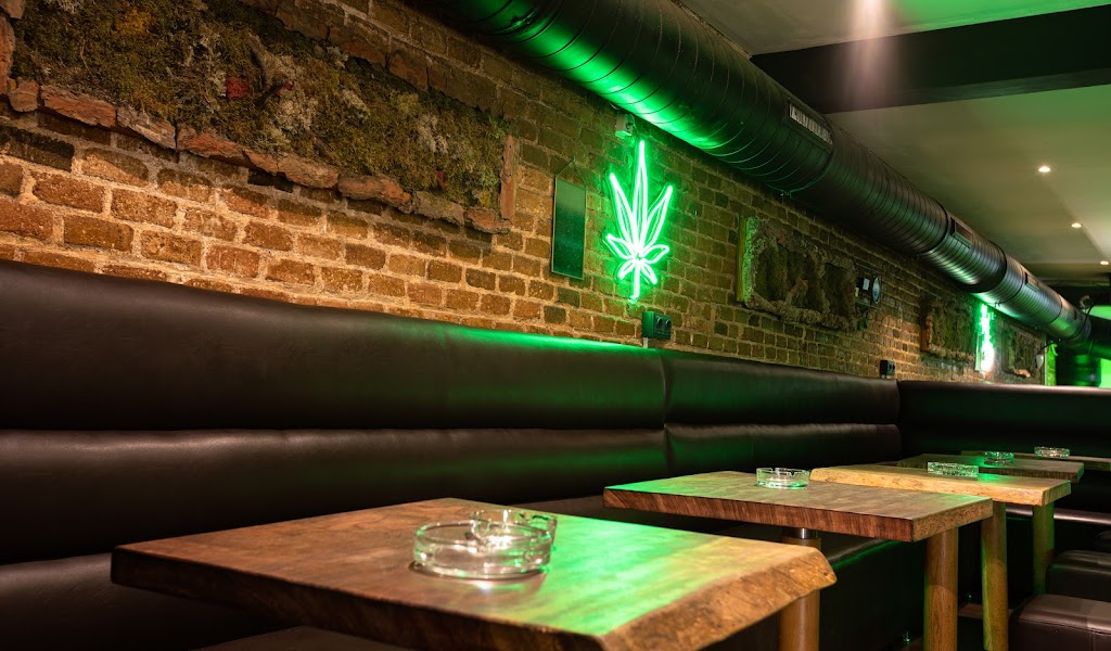 Doja ha abierto un Club en Barcelona y abrirá un Coffeeshop en Ámsterdam en  2024 - Newsweed - Cannabis Magazine